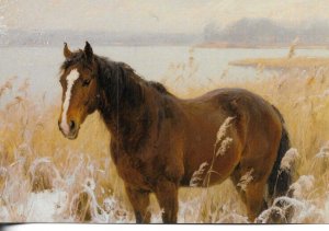 Horse near lake  Modern artist drawn postcards. Made in China