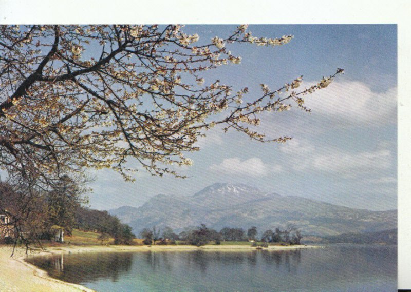 Scotland Postcard - Loch Lomond and Ben Lomond from Luss - Dunbartonshire TZ8230