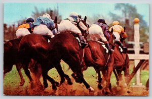 Long Island New York~Aqueduct Horse Race Track~Big A Field Scene~1971 Postcard