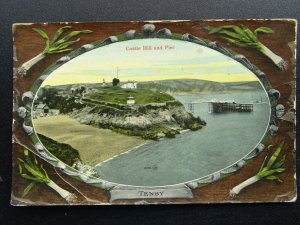 Wales Pembrokeshire TENBY Castle Hill & Pier c1906 Postcard