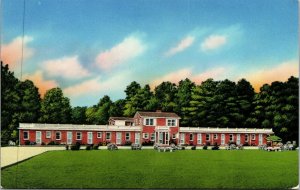 Vtg Olanta South Carolina SC Lewis Motel 1950s Unused Chrome Postcard