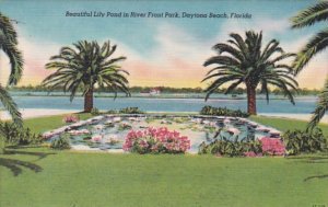 Florida Daytona Beach Beautiful Lily Pond In River Front Park