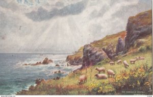 The Manacle Rocks, Cornwall, England, 1900-10s; TUCK 7117