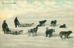 Vintage Arctic Dog Sled Team Postcard, Arctic Fast Mail, Pre-1915