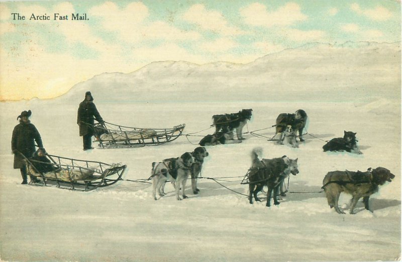 Vintage Arctic Dog Sled Team Postcard, Arctic Fast Mail, Pre-1915