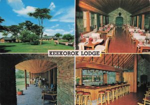 Keekorop Lodge Kenya Nairobi Restaurant Bar Photo Postcard