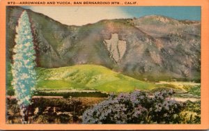 California San Bernardino Mountains Arrowhead and Yucca
