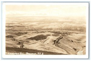 c1940's Bird's Eye View Of Lewiston Hill Panorama Ellis RPPC Photo Postcard