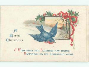 Divided-Back CHRISTMAS BIRDS SCENE Pretty Postcard W8517