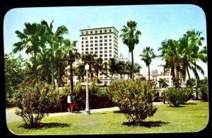 Florida MIAMI Bayfront Park Columbus Hotel in the Background pm1956 ~ Chrome