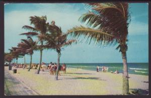 Beach Scene,Hollywood Beach,FL Postcard BIN