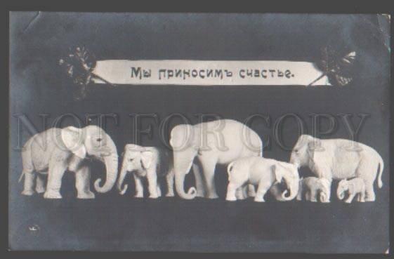 098981 Happy ELEPHANT Figures EASTER Vintage PHOTO Russian PC