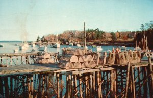 Vintage Postcard 1958 Lobster Traps along the Shore in Maine ME Harbor Scene