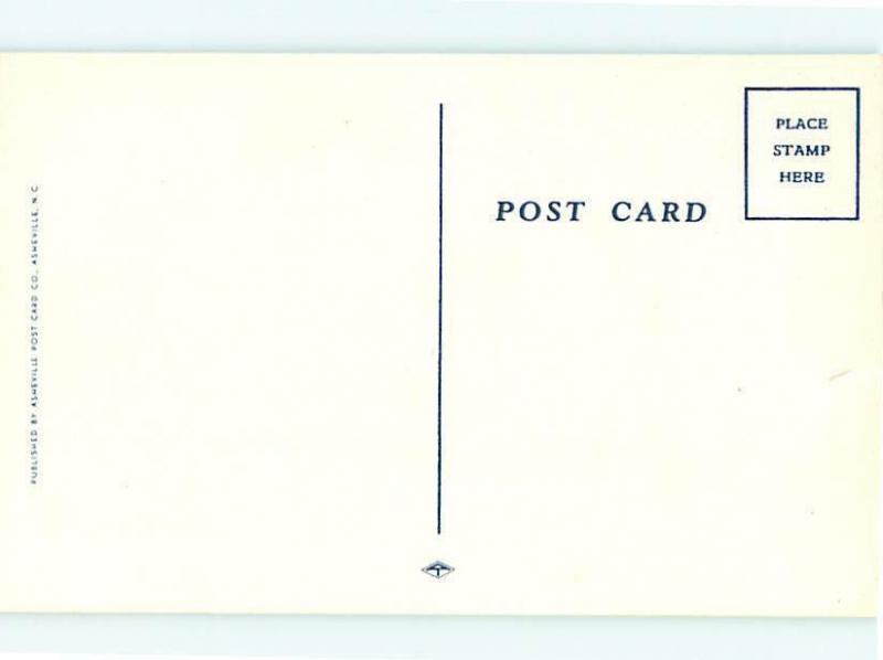 Vintage Postcard  Funny Humor Letters Comical Jokes # 1667