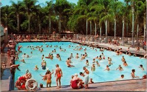 Vtg City Park Plunge Swimming Pool Orange County Anaheim California CA Postcard