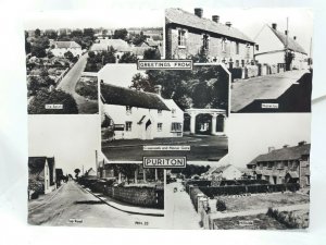 Puriton Somerset Vintage Friths RP Postcard Top Road Waterloo Hillside The Batch