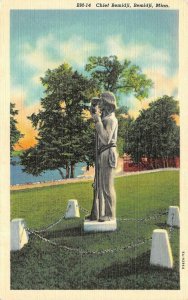 BEMIDJI, MN Minnesota  INDIAN CHIEF BEMIDJI STATUE~Native Americana  Postcard