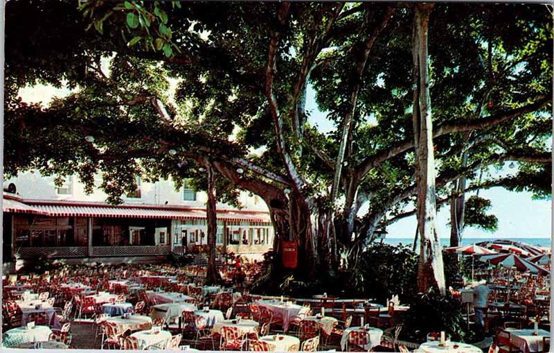 Postcard RESTAURANT SCENE Honolulu - Waikiki Hawaii HI AK8721