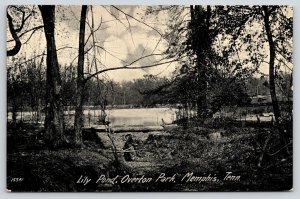 Memphis Tennessee~Overton Park Lily Pond~Log over Culvert~c1910 B&W Postcard