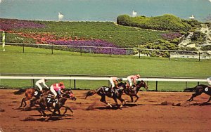 Hollywood Turf Club Hollywood Park, California USA View Images 