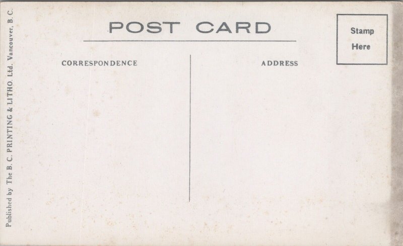 Canada Banff Springs Hotel Alberta Vintage Postcard C074