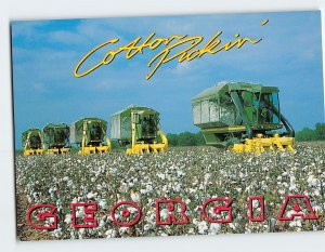 Postcard (King Cotton) Cotton Pickin' from Georgia USA