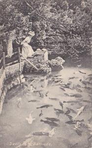 Bermuda The DEvils Hole