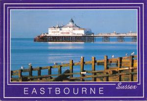 B97362 eastbourne sussex the pier  uk