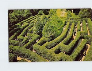 Postcard The Governor's Palace Maze, Williamsburg, Virginia