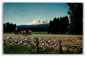 Mount Adams Washington WA Chrome Postcard Z10
