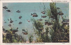 Florida Silver Springs Fishermens Paradise A Scene Through Glass Bottom Boats...