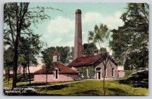 Morrison Illinois~Vine Covered City Water Works~c1910 Postcard