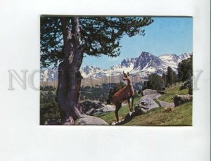 470398 Principality of Andorra postcard