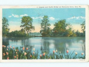 Linen RUSTIC BRIDGE AT LAGOON Erie Pennsylvania PA d4694