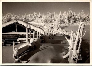 CONTINENTAL SIZE POSTCARD REAL PHOTO RPPC OF WINTER WONDERLAND FINLAND