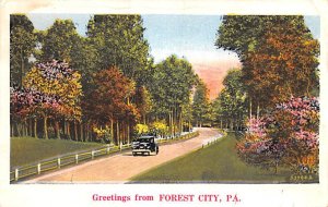 Greetings from Forest City Forest City, Pennsylvania PA  