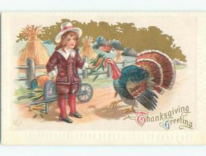 Pre-Linen thanksgiving BOY WITH LONG HAIR GIVES CORN TO TURKEY k8938