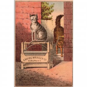 EMPIRE WRINGER Co - Cats - LEO WIRTH - Riegelsville, PA - Victorian Trade Card