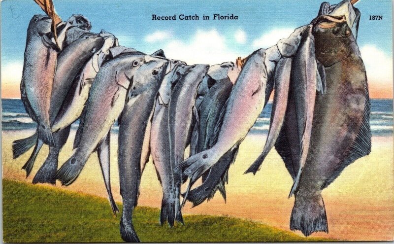 Florida Record Catch Fishing Ocean Beachfront Scenic Linen Postcard 