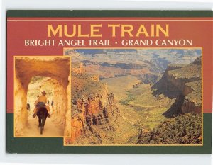 Postcard Mule Train Bridge Angel Trail Grand Canyon Arizona USA