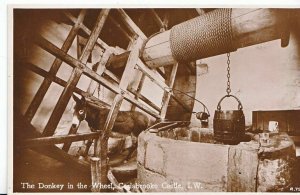 Isle of Wight Postcard - Donkey In The Wheel - Carisbrooke Castle - RP   MB1610