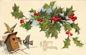 Christmas~Little Blue Birds Arrive at Birdhouse~Holly Berry~White Emboss~Germany