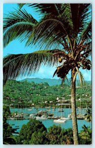 GRENADA, WEST INDIES ~ Yacht Marina THE LAGOON c1970s  Postcard