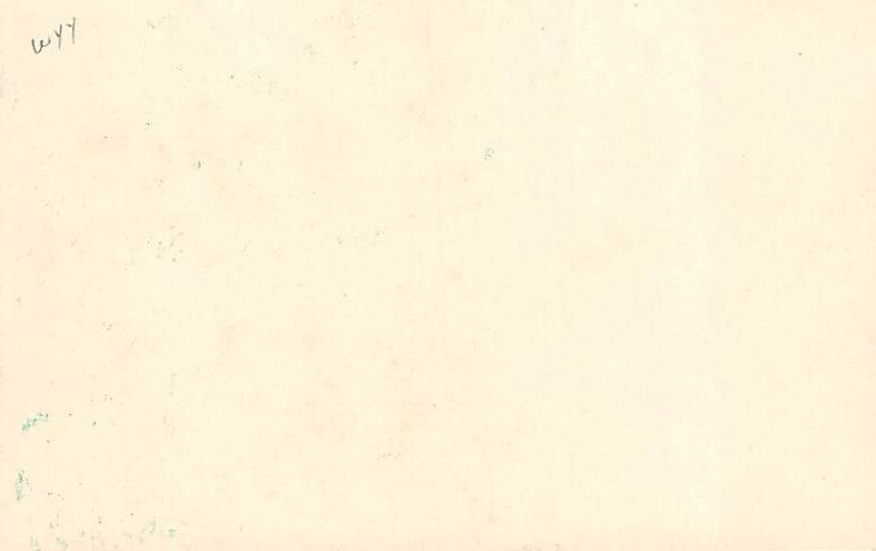 Artist Samuel Schmucker Butterfly Postcard