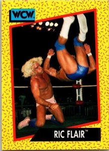 1991 WCW Wrestling Card Ric Flair sk21165