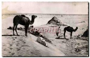 Algeria Old Postcard Scenes and Types Landscape Sahara desert in