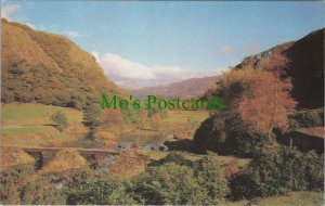 Wales Postcard - Dinas Emrys, Near Beddgelert  RS31411