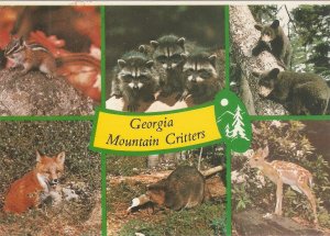 Animals. Georgia Mountain Critterss Nice modern American postcard