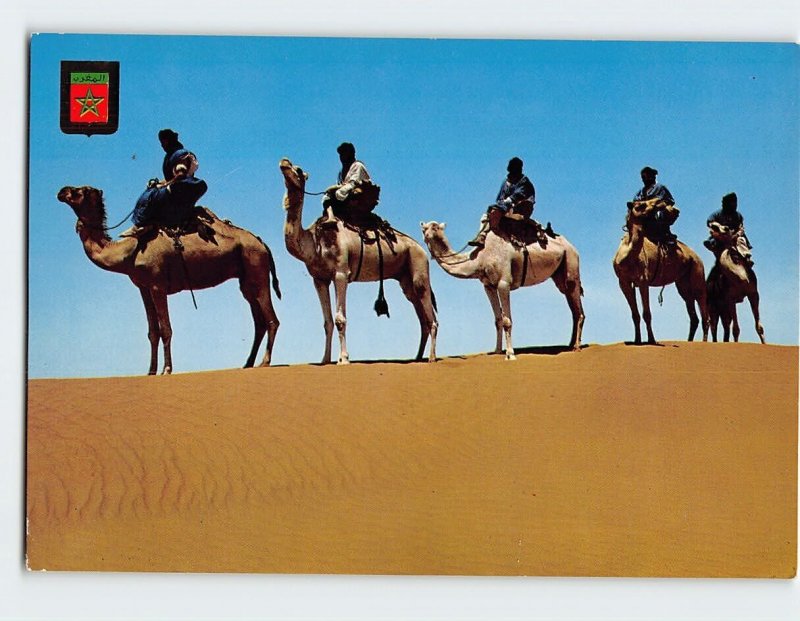 Postcard Meharistes Camel-Train of M'Hamid, Typical Morocco