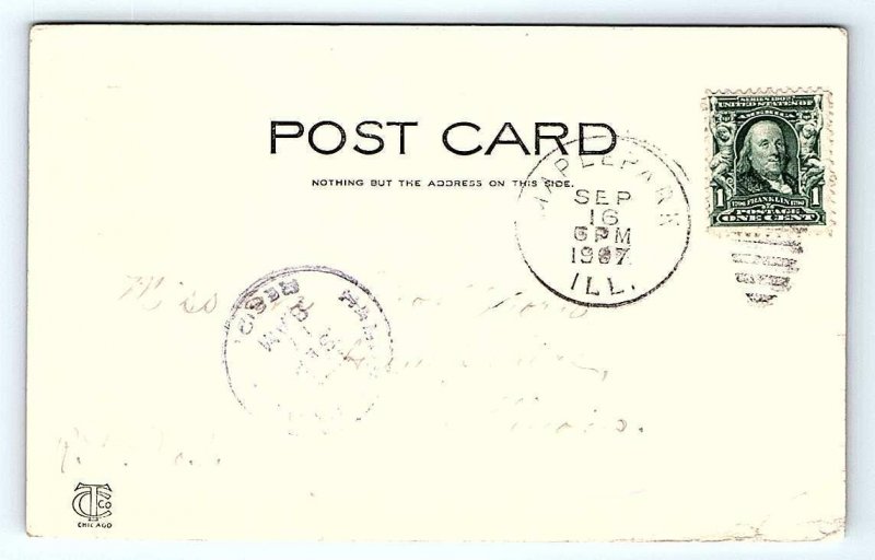 AURORA, IL  Illinois ~ RIVERVIEW PARK Lovers Lane Scene 1907 Postcard